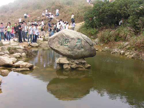 纵情山水，激荡智慧——TANK007重阳节带您一起登高梧桐山